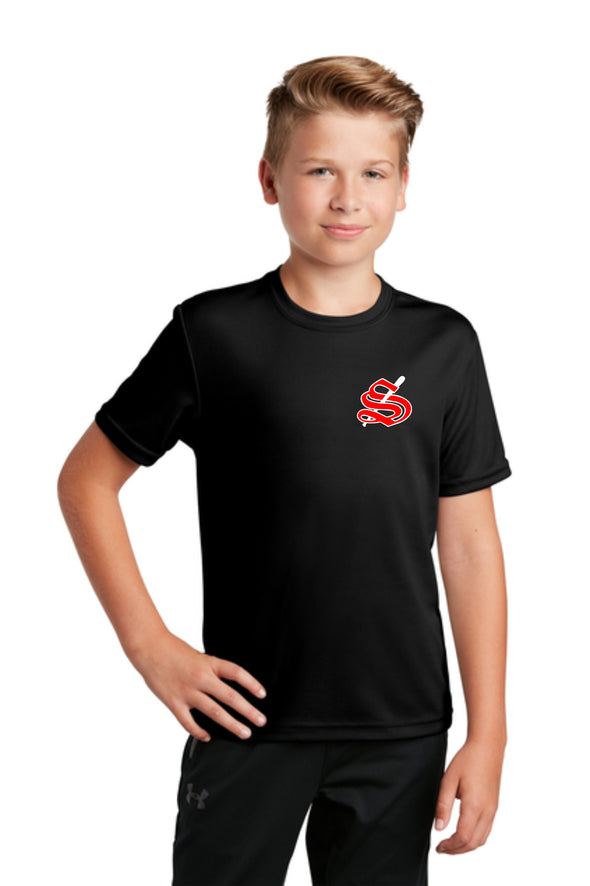 Youth DRYFIT STIX logo tee