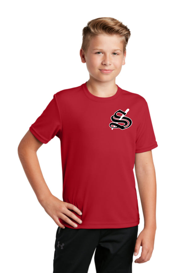 Youth DRYFIT STIX logo tee